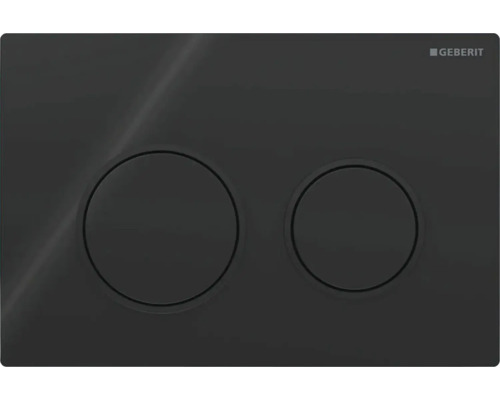 Spolplatta GEBERIT Omega20 Round mattsvart för dubbelspolning 212x142 mm 8002071 Geberit tryckplatta med två knappar