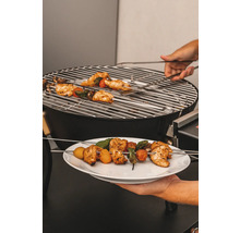 Grill med kycklingspett och grönsaker på en tallrik