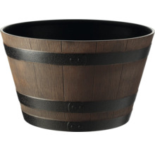 Blomkruka i tunutseende