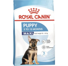 Royal Canin Puppy Maxi hundfoder för valpar från 2 till 15 månader med en vikt på 26 till 44 kilogram.