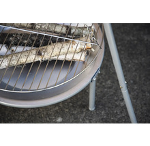 Eldstad med vedträn på grillgallret