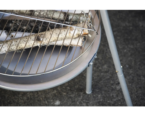 Eldstad med vedträn på grillgallret