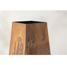 Rostfärgad planteringspelare av metall