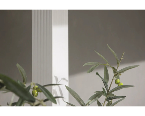 Dekorativa olivträdsgrenar framför väggen