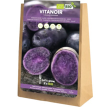 Vitanoir utsädespotatis i säck