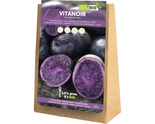 Vitanoir utsädespotatis i säck