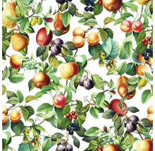 Illustration av frukt och löv, lämplig som tapet eller tygmönster