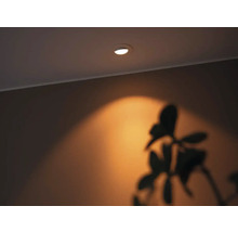 Takmonterad spotlight som lyser upp en vägg med en växtskugga