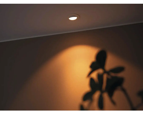 Takmonterad spotlight som lyser upp en vägg med en växtskugga