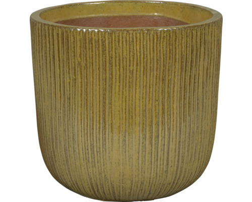 Gul blomkruka med vertikala linjer