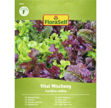 FloraSelf Vital Mischung Sallat Baby Leaf Fröer Förpackning