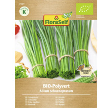 Förpackning med ekologiska gräslöksfrön