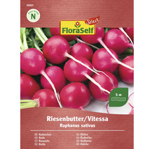 FloraSelf Rädisa Riesenbutter/Vitessa fröpaket