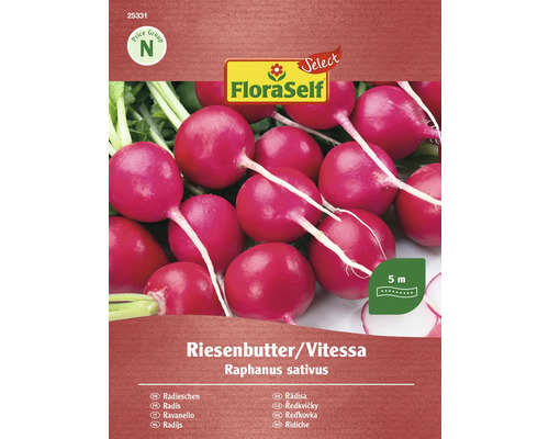 Rädisefrö FLORASELF Select 'Riesenbutter/Vitessa' såband FloraSelf Rädisa Riesenbutter/Vitessa fröpaket