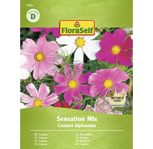 FloraSelf Cosmos bipinnatus Sensation Mix fröförpackning