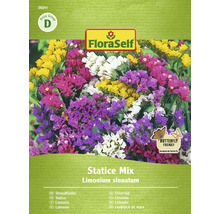 Förpackning Statice Mix blomfrön från FloraSelf