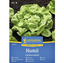 Kiepenkerl Humil salladshuvudfrön