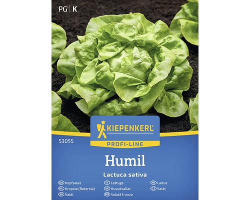 Kiepenkerl Humil salladshuvudfrön