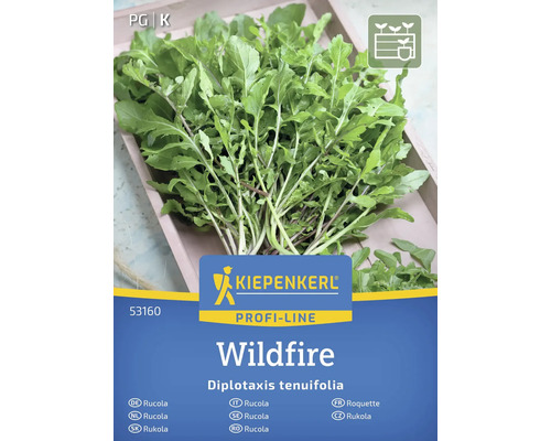 Kiepenkerl Wildfire Rucola fröförpackning
