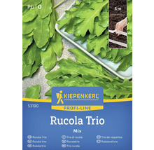 Kiepenkerl Rucola Trio fröpaket