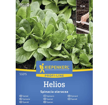 Kiepenkerl Profi-Line Helios fröpaket spenat