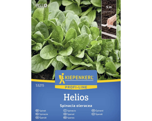 Kiepenkerl Profi-Line Helios fröpaket spenat