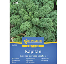 Kiepenkerl Kapitan Grönkål fröförpackning