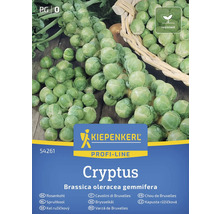 Kiepenkerl Brysselkål Cryptus frö
