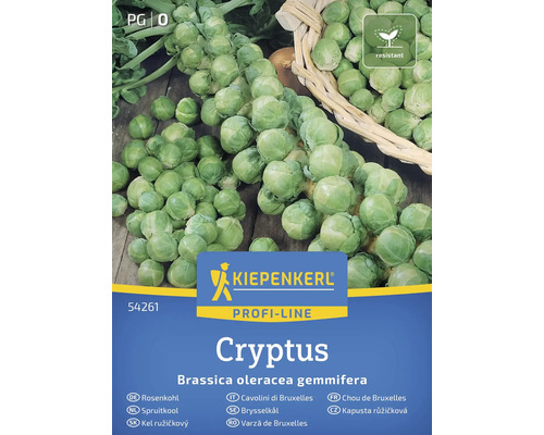 Kiepenkerl Brysselkål Cryptus frö