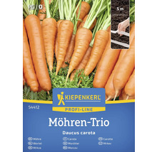 Morotsfrön av märket Kiepenkerl