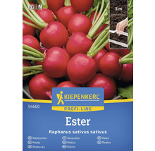 Kiepenkerl Profi-Line Rädisa Ester fröpaket