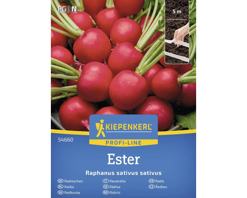 Rädisefrö KIEPENKERL 'Ester' såband Kiepenkerl Profi-Line Rädisa Ester fröpaket