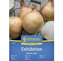 Kiepenkerl utställningslökar i korg