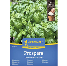 Kiepenkerl Prospera basilika plantpaket med fem plantor