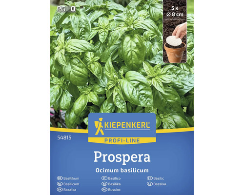 Basilikafrö KIEPENKERL 'Prospera' Kiepenkerl Prospera basilika plantpaket med fem plantor