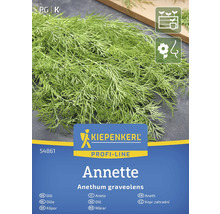 Dillfrön av sorten Annette