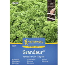 Persiljefrön av märket Kiepenkerl, sorten Grandeur, 5 meter sårad