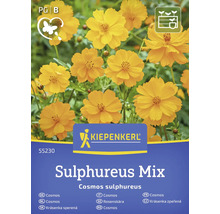 Kiepenkerl Rosenskära Sulphureus Mix fröpaket