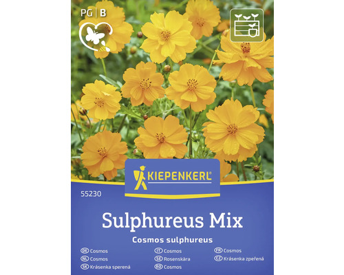Kiepenkerl Rosenskära Sulphureus Mix fröpaket