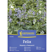 Kiepenkerl Felix Kattmynta, Nepeta x faassenii