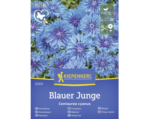 Blomsterfrö KIEPENKERL Blåklint 'Blauer Junge' Fröpaket blåklint Blauer Junge