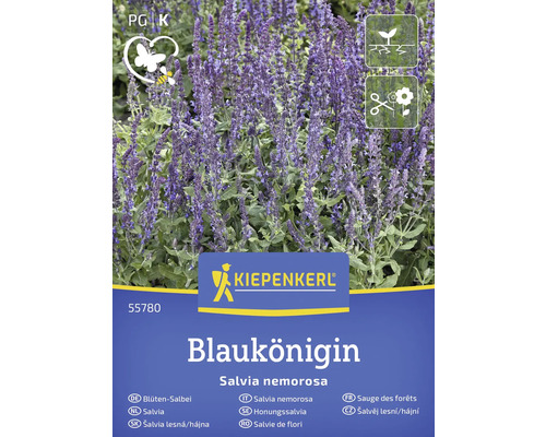 Blomsterfrö KIEPENKERL Blomstersalvia 'Blaukönigin' Honungssalvia fröpaket