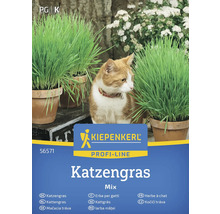 Kiepenkerl Kattgräs Mix förpackning med katt och krukor