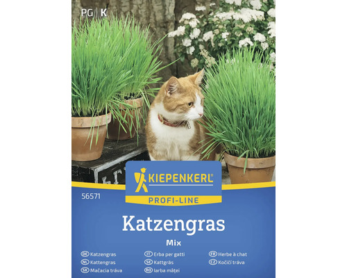 Kiepenkerl Kattgräs Mix förpackning med katt och krukor