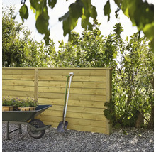 Trästaket i trädgården med skottkärra och spade