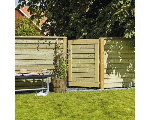 Trästaket med öppen trädgårdsport, bänk och växt på gräsmatta