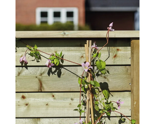 Trästaket med klätterväxt och bambupinnar