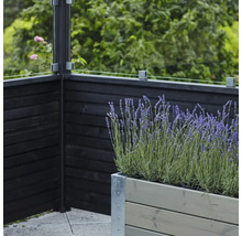 Insynsskydd och planteringslåda med lavendel på en terrass