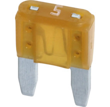 5 Ampere säkring för användning i bilen