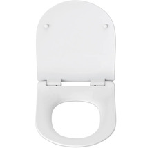 Toalettsits av plast